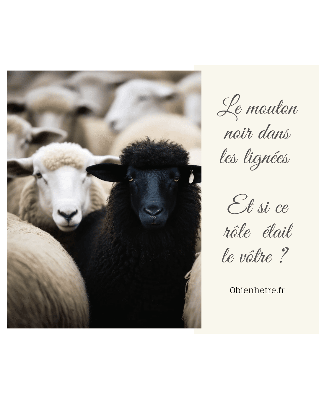 Le mouton noir en transgénérationnel🐑