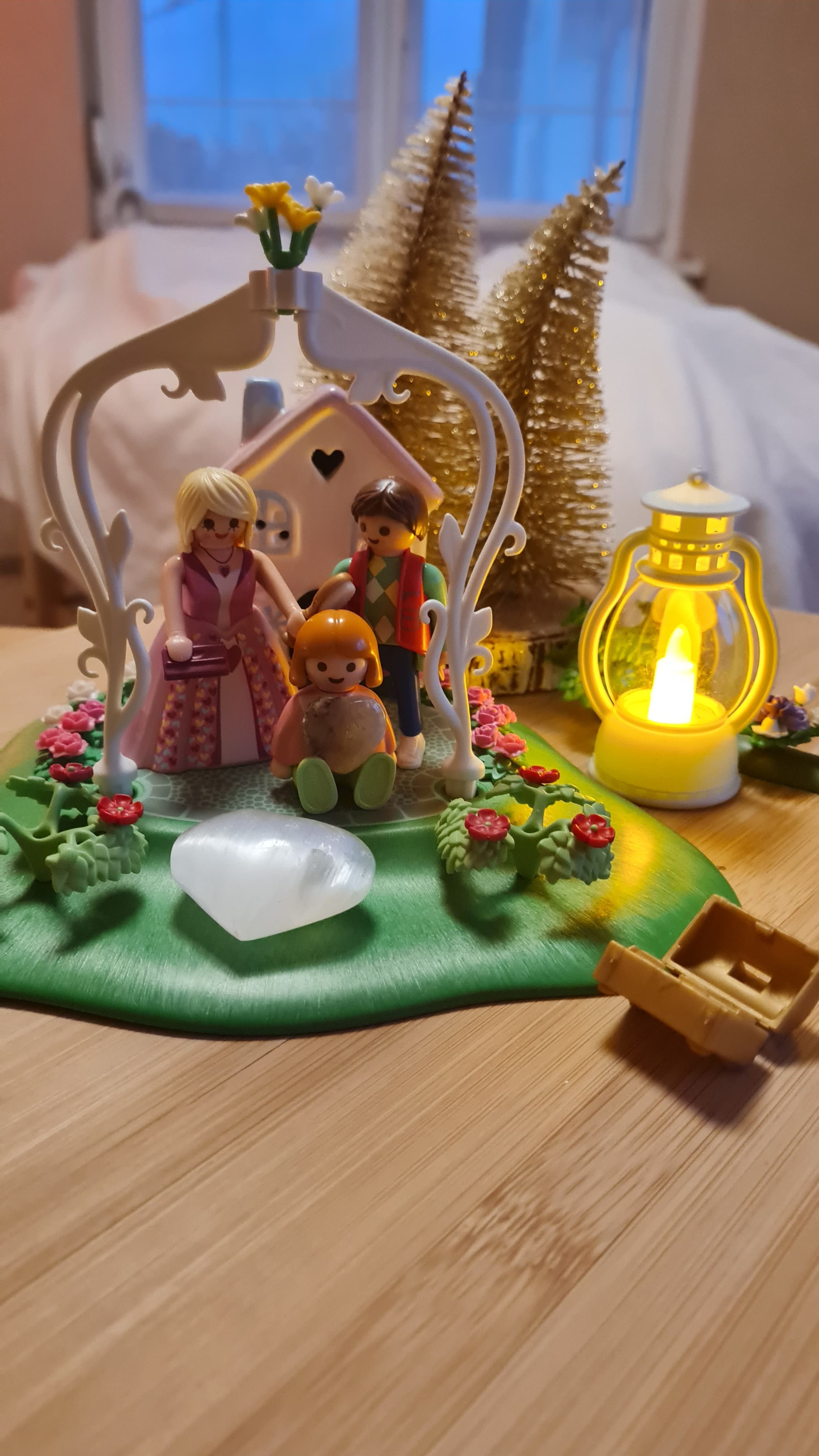 Constellation familiale individuelle